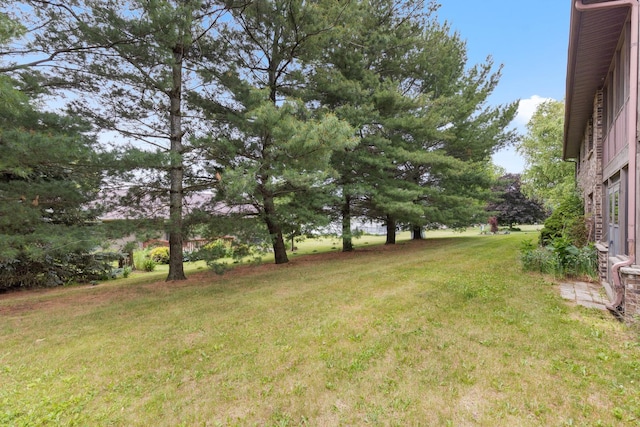 217 Hancock Dr, Orangeville, IL 61060 - photo 22