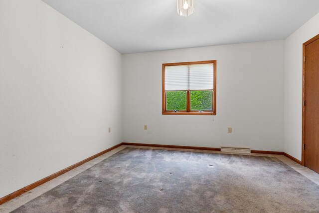 217 Hancock Dr, Orangeville, IL 61060 - photo 10