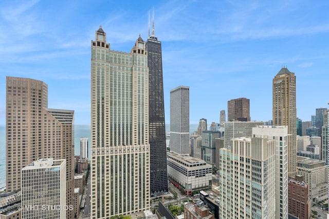11 E Walton St Unit 4902, Chicago, IL 60611 - view of city skyline