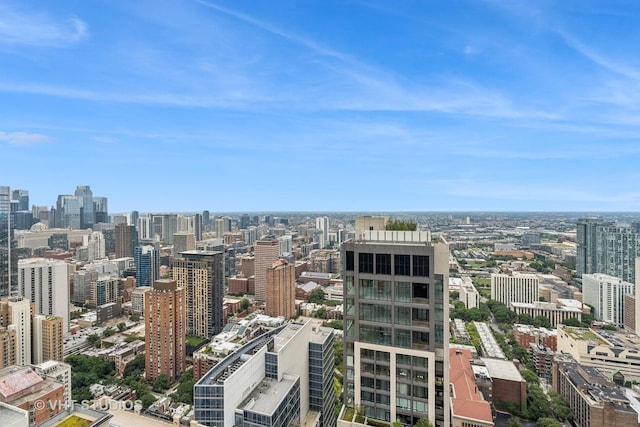 11 E Walton St Unit 4902, Chicago, IL 60611 - city view