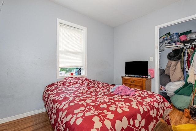 28 W 112th St, Chicago, IL 60628 - bedroom with wood finished floors, a closet, and a spacious closet