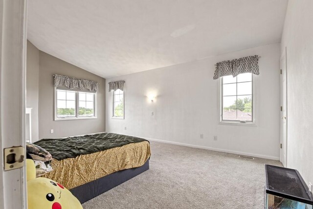 6072 Nimtz Ct, Loves Park, IL 61111 - bedroom with carpet and vaulted ceiling