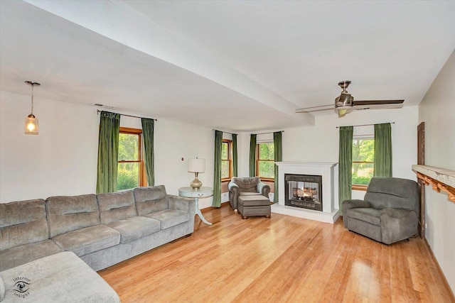 944 E County Line Rd, Beecher, IL 60401 - living room featuring a multi sided fireplace, light wood-style floors, healthy amount of natural light, and a ceiling fan