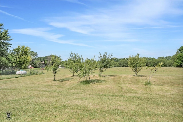944 E County Line Rd, Beecher, IL 60401 - view of green lawn