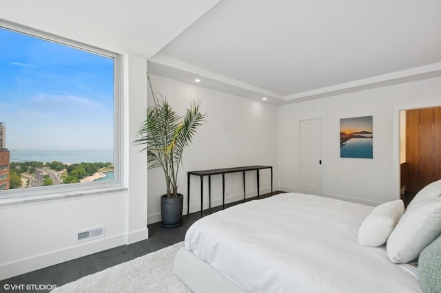1300 N Lake Shore Dr Unit 21D, Chicago, IL 60610 - bedroom featuring wood finished floors, recessed lighting, and a raised ceiling