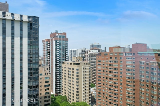 1300 N Lake Shore Dr Unit 21D, Chicago, IL 60610 - city view
