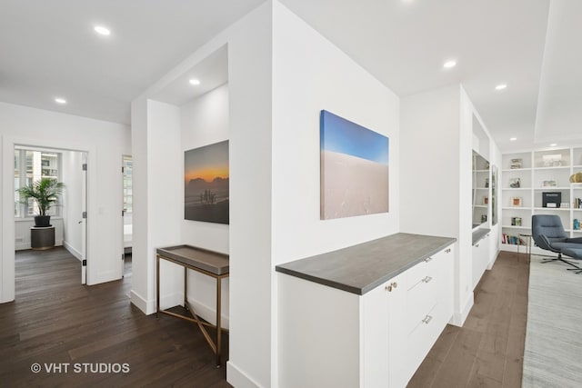 1300 N Lake Shore Dr Unit 21D, Chicago, IL 60610 - hall featuring dark wood-style flooring, recessed lighting, and built in shelves