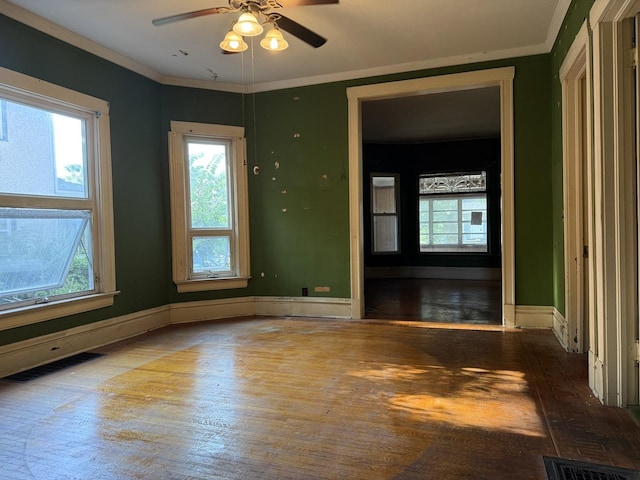 7005 34th St, Berwyn, IL 60402 - photo 7