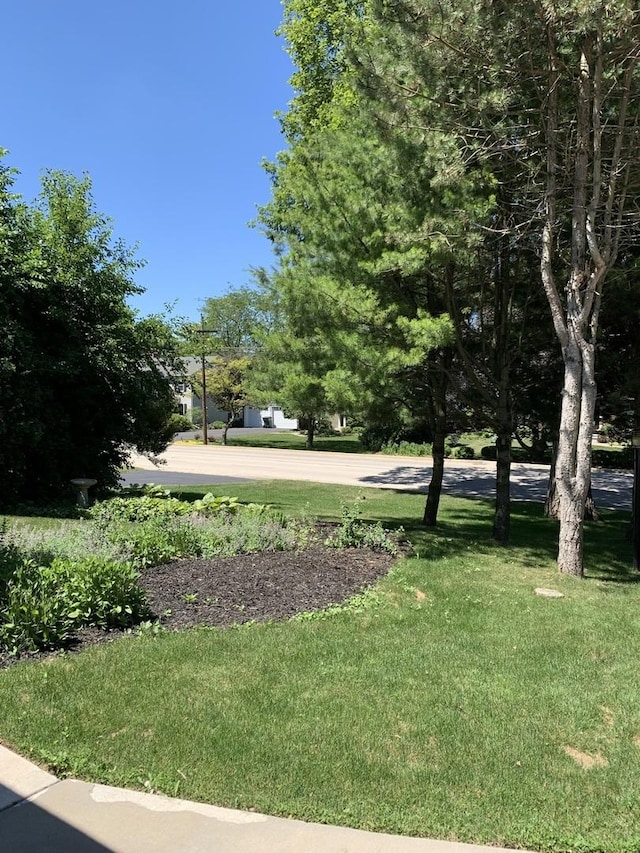 743 Dundee Ave, Barrington, IL 60010 - view of grassy yard