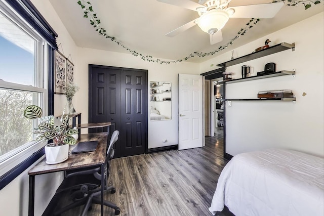 810 Woodhollow Ln, Buffalo Grove, IL 60089 - bedroom featuring wood finished floors, a closet, and a ceiling fan