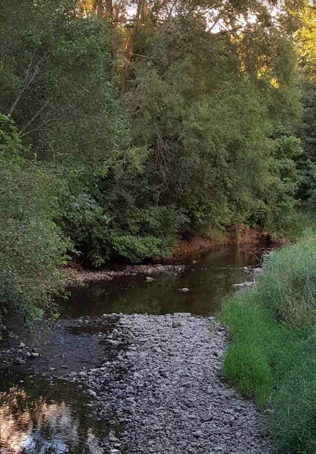 1604 Brittany Ct Unit 2B, Wheeling, IL 60090 - water view featuring a heavily wooded area