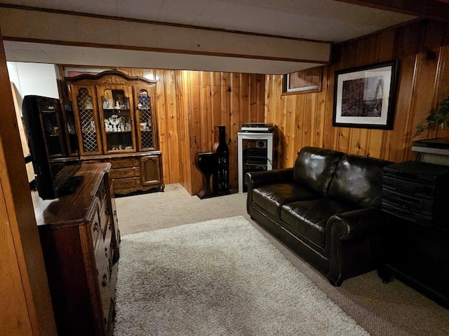 155 S Mclean Blvd, Elgin, IL 60123 - photo 21