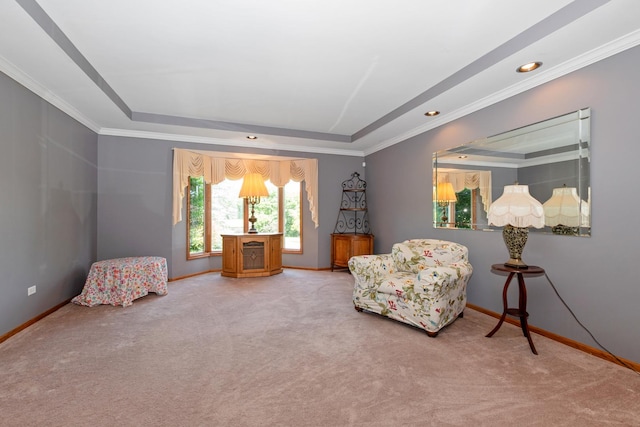 24029 S Plum Valley Dr, Crete, IL 60417 - sitting room featuring a tray ceiling, carpet, ornamental molding, and recessed lighting