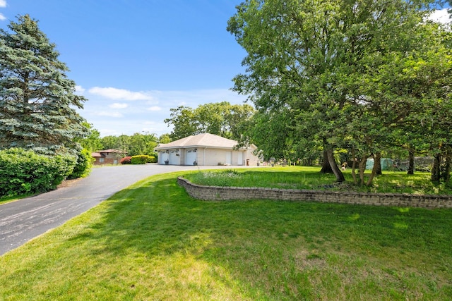 24029 S Plum Valley Dr, Crete, IL 60417 - view of front of home featuring a front yard, an attached garage, and asphalt driveway