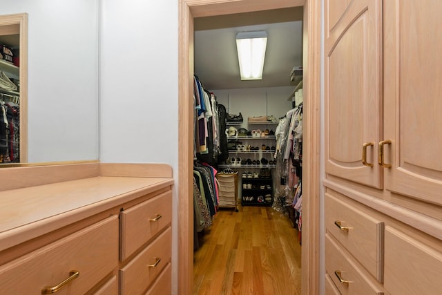 24029 S Plum Valley Dr, Crete, IL 60417 - walk in closet with light wood finished floors