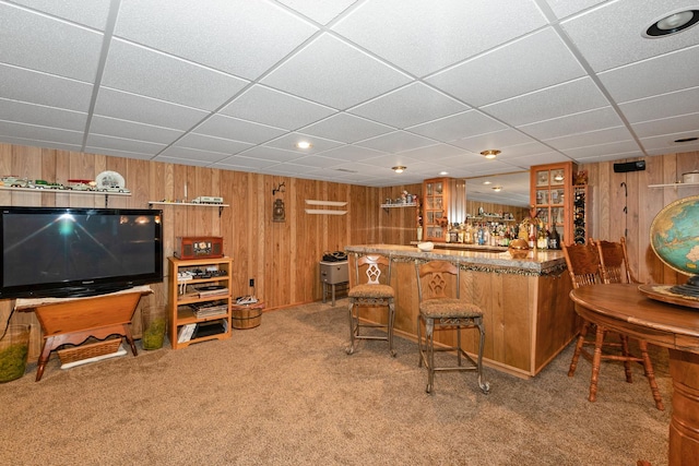 24029 S Plum Valley Dr, Crete, IL 60417 - indoor dry bar with carpet flooring, wood walls, and a drop ceiling
