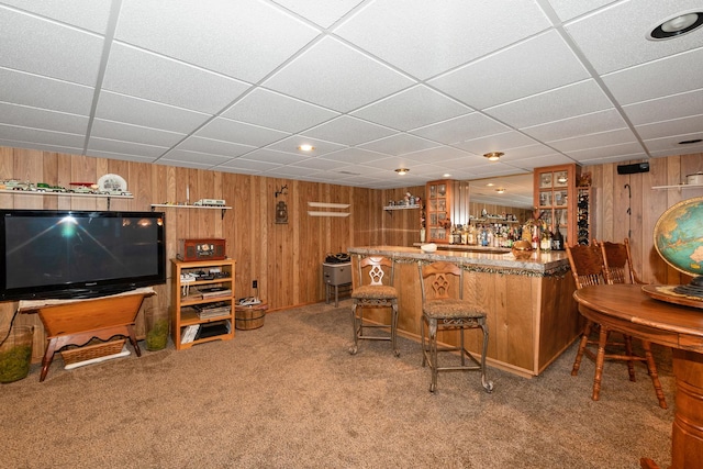 24029 S Plum Valley Dr, Crete, IL 60417 - indoor dry bar with carpet floors, wood walls, and a paneled ceiling
