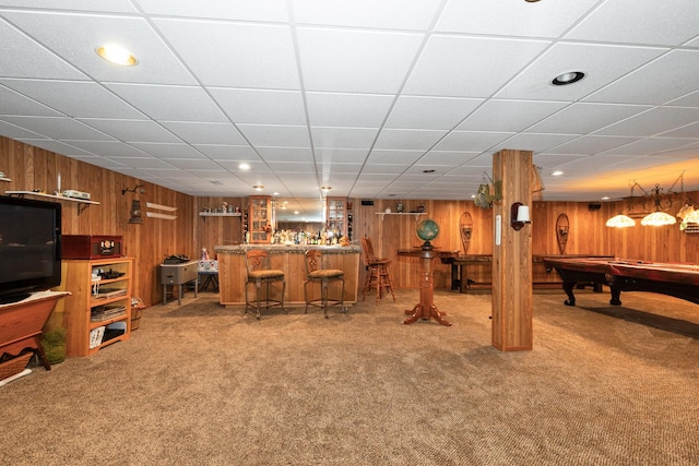 24029 S Plum Valley Dr, Crete, IL 60417 - indoor dry bar featuring carpet floors, billiards table, wood walls, and recessed lighting