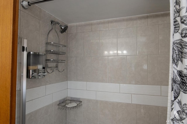 7707 Moody Ave, Burbank, IL 60459 - bathroom with a tile shower