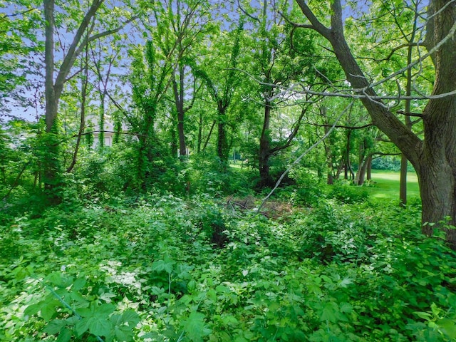 13071 Promontory Trl, Roscoe, IL 61073