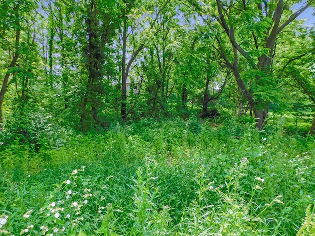 13071 Promontory Trl, Roscoe, IL 61073