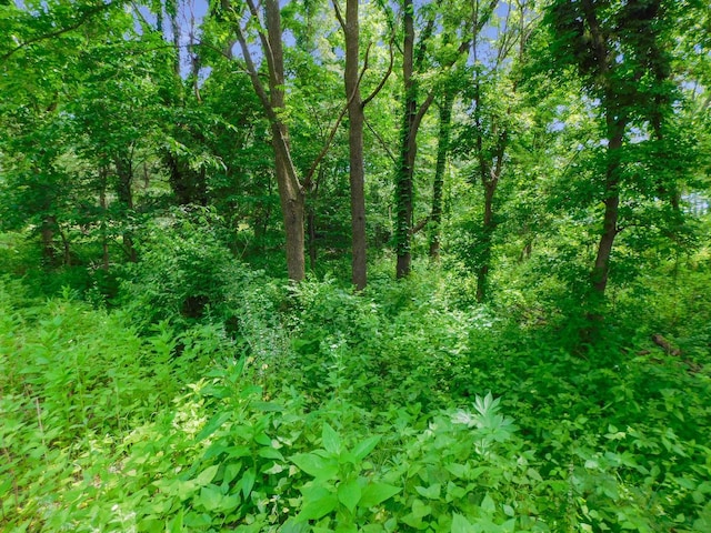 13071 Promontory Trl, Roscoe, IL 61073