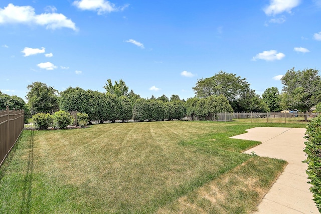 11259 Twin Lakes Dr, Orland Park, IL 60467 - photo 17