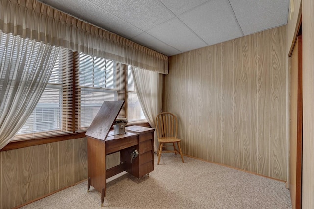 4934 N Marmora Ave, Chicago, IL 60630 - sitting room with wooden walls, carpet flooring, and an office area