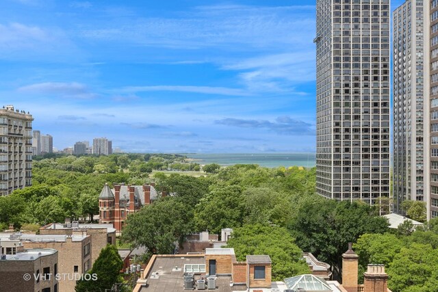 1450 N Astor St Unit 14C, Chicago, IL 60610 - photo 23