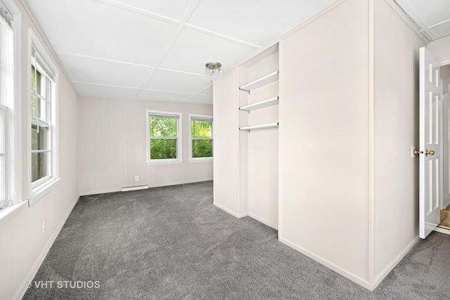 406 E Tower Dr, Tower Lakes, IL 60010 - unfurnished bedroom with carpet floors and multiple windows