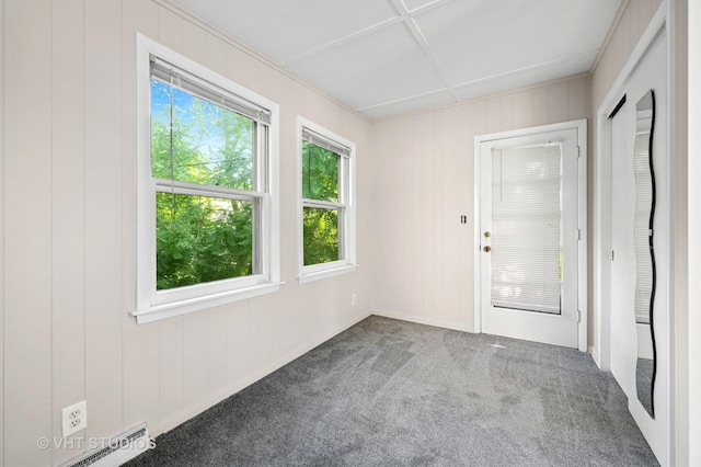 406 E Tower Dr, Tower Lakes, IL 60010 - carpeted empty room featuring healthy amount of natural light and wood walls