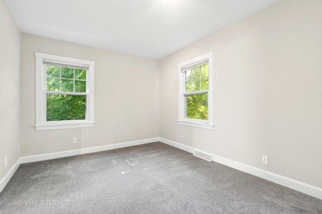 406 E Tower Dr, Tower Lakes, IL 60010 - spare room with healthy amount of natural light and carpet flooring