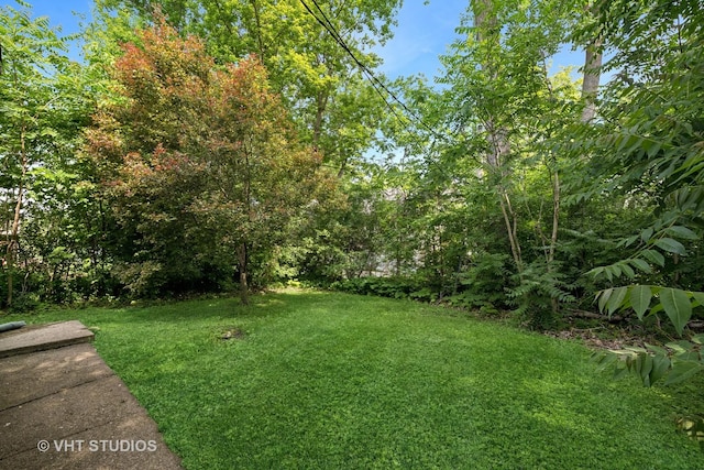 406 E Tower Dr, Tower Lakes, IL 60010 - view of green lawn