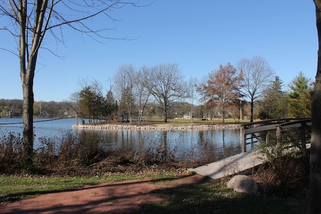 406 E Tower Dr, Tower Lakes, IL 60010 - water view