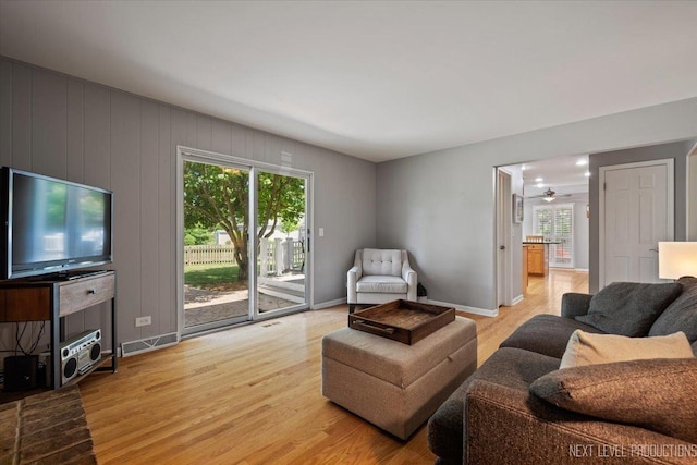 1009 E Bailey Rd, Naperville, IL 60565 - living area with light wood finished floors and a ceiling fan