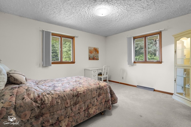 1458 Pleasant Dr, Crest Hill, IL 60403 - bedroom with carpet floors, multiple windows, and a textured ceiling