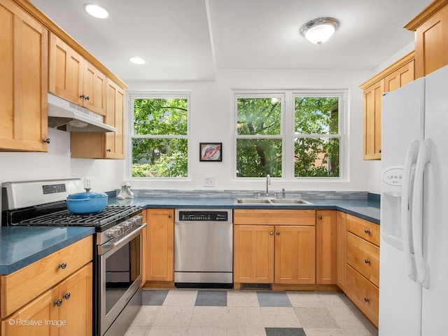 1754 W Cortland St, Chicago, IL 60622 - kitchen featuring stainless steel appliances, under cabinet range hood, dark countertops, light flooring, and healthy amount of natural light