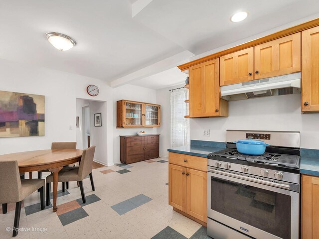 1754 W Cortland St, Chicago, IL 60622 - kitchen with stainless steel range with gas stovetop, under cabinet range hood, dark countertops, and light flooring