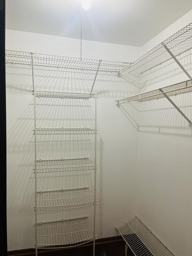 1335 N Winslowe Dr Unit 304, Palatine, IL 60074 - view of walk in closet
