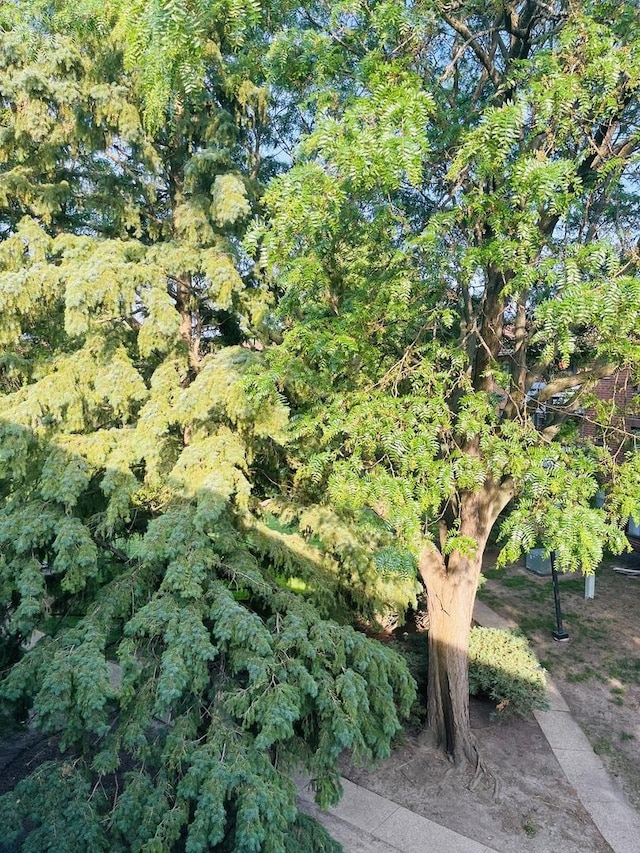 1335 N Winslowe Dr Unit 304, Palatine, IL 60074 - view of undeveloped land
