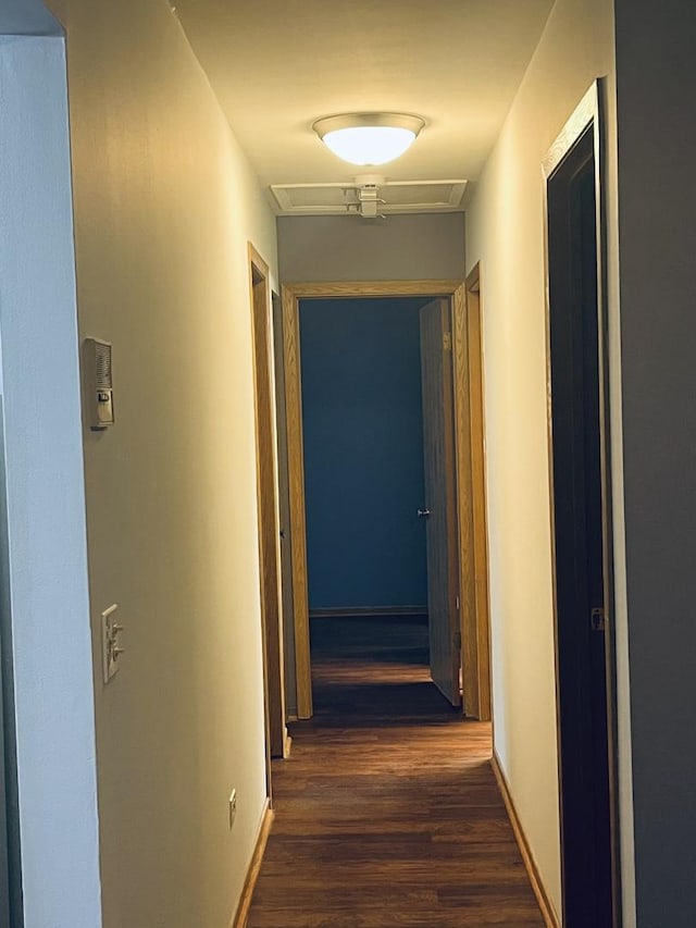 1335 N Winslowe Dr Unit 304, Palatine, IL 60074 - corridor featuring dark wood-style floors and attic access