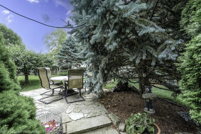24309 White Oak Dr, Plainfield, IL 60585 - photo 25