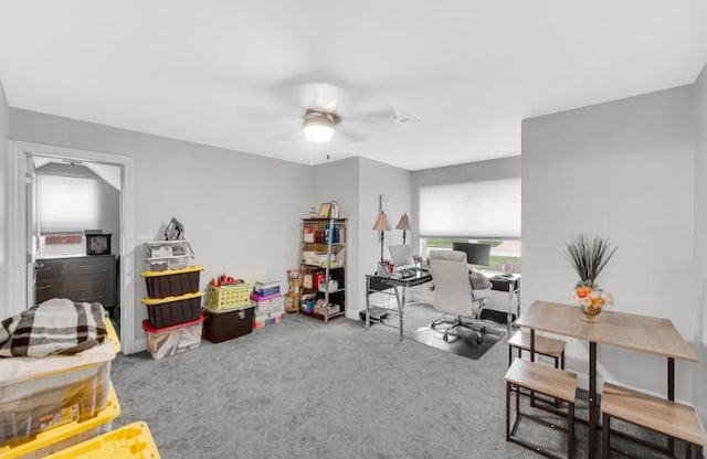 3105 Hermes Dr, Olympia Fields, IL 60461 - office space featuring carpet and a ceiling fan