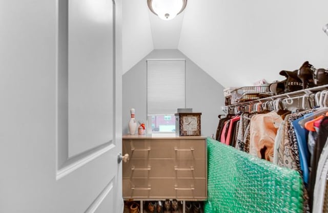 3105 Hermes Dr, Olympia Fields, IL 60461 - spacious closet featuring lofted ceiling