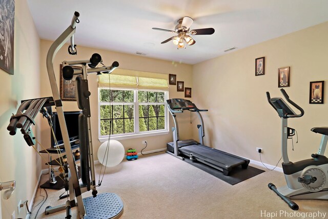 1606 Tecumseh Dr, Mchenry, IL 60050 - photo 31
