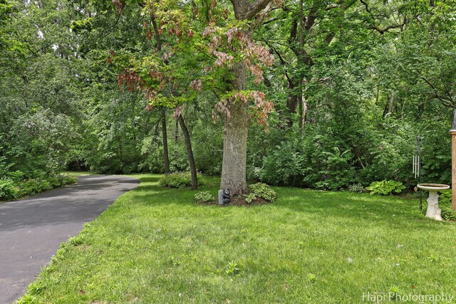 1606 Tecumseh Dr, Mchenry, IL 60050 - photo 45