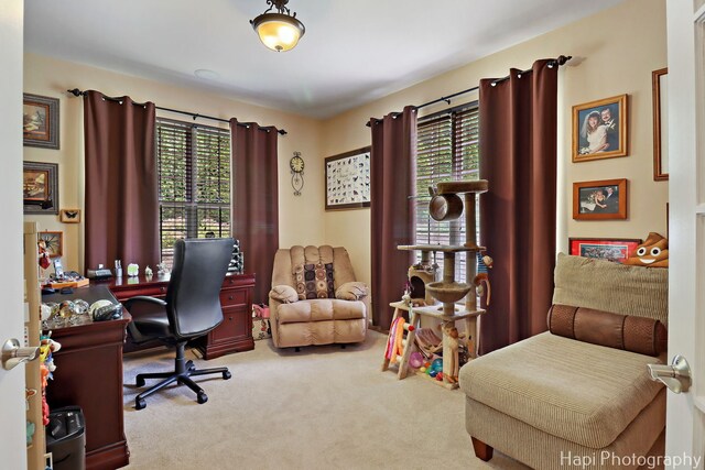 1606 Tecumseh Dr, Mchenry, IL 60050 - photo 10