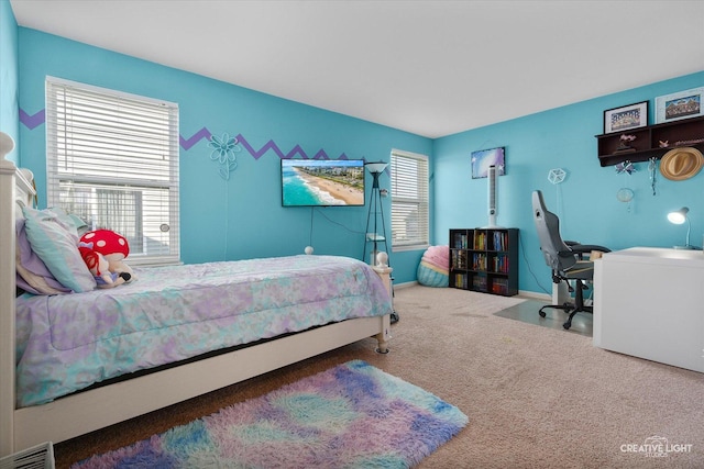 1133 Daytona Way, Pingree Grove, IL 60140 - bedroom with carpet floors and baseboards