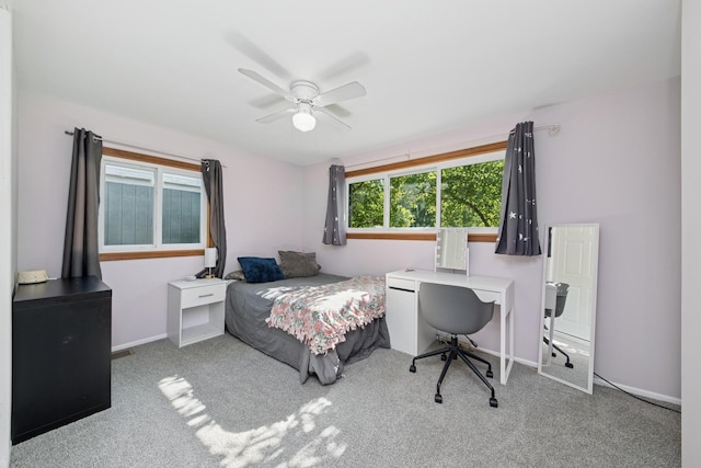 122N Woodlawn St, Wheaton, IL 60187 - photo 12