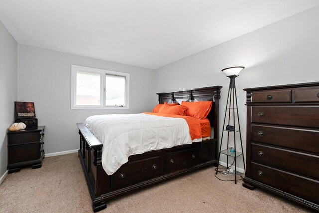 9 Lakewood Ct, Park Forest, IL 60466 - photo 19